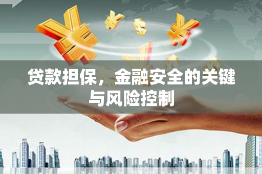 申扎贷款担保，金融安全的关键与风险控制