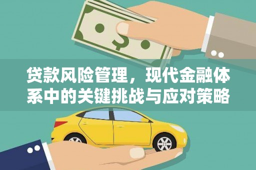 申扎贷款风险管理，现代金融体系中的关键挑战与应对策略