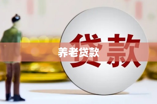 申扎养老贷款