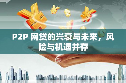 申扎P2P 网贷的兴衰与未来，风险与机遇并存