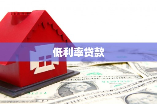 申扎低利率贷款