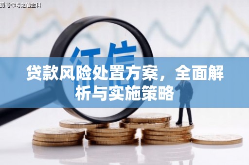 申扎贷款风险处置方案，全面解析与实施策略